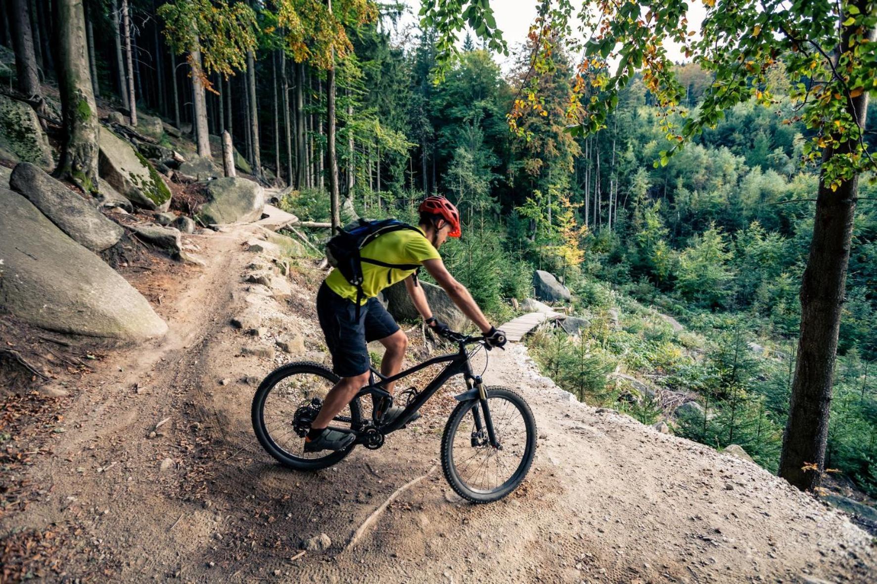 Elements Hotel&Spa Świeradów-Zdrój Dış mekan fotoğraf A mountain biker riding a trail